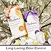 Norforms Feminine Deodorant Suppositories, Long Lasting Odor Control, Island Escape Scent, 12 Count Deodorant Suppositories in Each Box (Pack of 3)