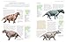 The Illustrated Encyclopedia of Dinosaurs and Prehistoric Creatures: The ultimate illustrated reference guide to 1000 dinosaurs and prehistoric creatures, updated and revised