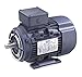 Premium Efficiency Metric Motor, D90LC