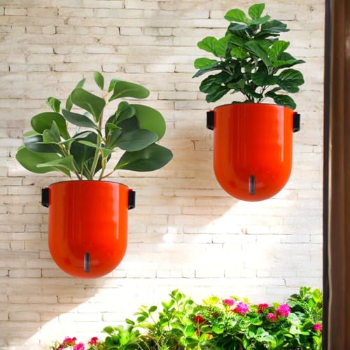 Image of Indian Discovery Self Watering Wall Hanging Planter|Hanging /Hooked Flower Pots for Home, Balcony, Vertical Garden Decor Flower Pots(6 PC, Multi-Color, Sphere)|6 Inch UV-Resistant Plastic Plant Pots