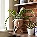 Meltset M Face Planter Pot with Heart Hands, Resin Head Planter for Indoor Plants, Cute Succulent Pots with Drainage Hole, Gardening Gifts for Women Mom Teacher, 7.3