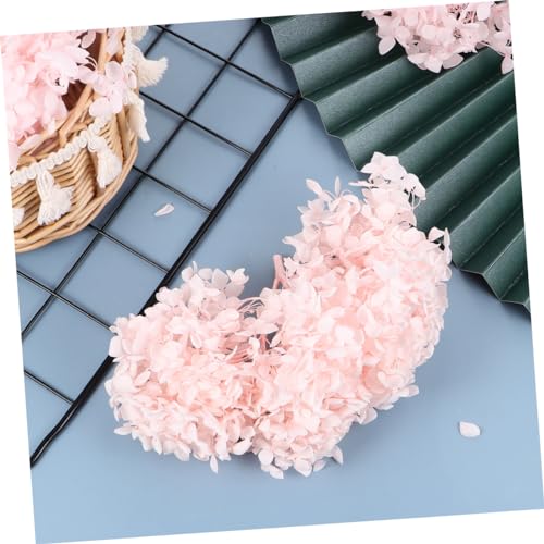 Pétalos de flores hortensia preservados 20g rosa miniatura 5