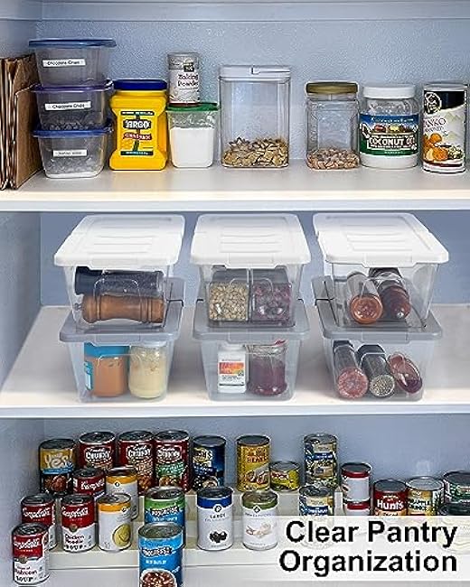 Plastic Storage Container 12 Pack Plastic Storage Bins with Lids, Stackable Shoe Organizer Boxes Storage Baskets for Organizing Closet Organizers and Storage, Clear+Grey