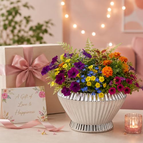 Image of Xtore Elegant Fluted Ceramic Planter with Drain Tray | Glossy White Flower Pot for Indoor Plants, Succulents & Tabletop Decor (14.5 cm x 12.5 cm)