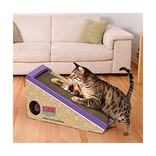 KONG Naturals Nachfüll-Kratzer für Katzen und Neigung – Bild 3