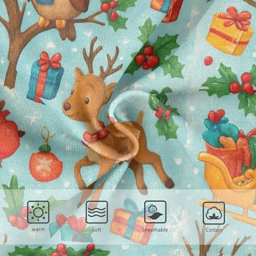 Joisal Winter Cartoon Owls Blue Girls Underwear Toddlers 2t Cotton Panties Little Girl Fancy Briefs Girls Undies3