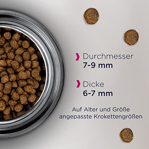 Eukanuba Anti-Haarballen Katzenfutter - Premium Trockenfutter zur Reduzierung von Haarballen, 2 kg
