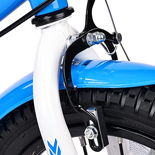 BalanceFrom Elevon Dinos Kids Bike Kids Bicycle with Removable Training Wheels and Basket 12 Inch 14 Inch 16 Inch 18 Inch for Boys Girls Ages 2-9 Years Old