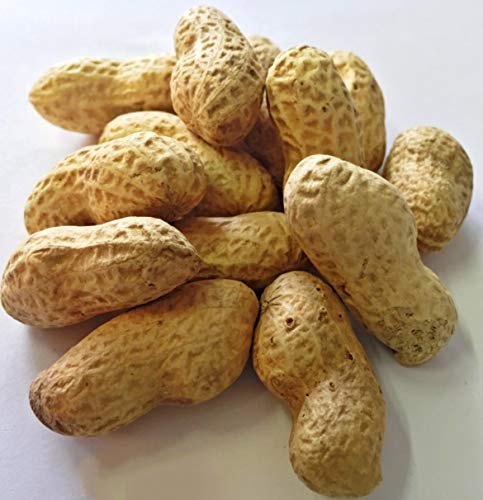 Faunamix Cacahuetes con cáscara crudos. Complemento alimenticio para Loros (300 gr)