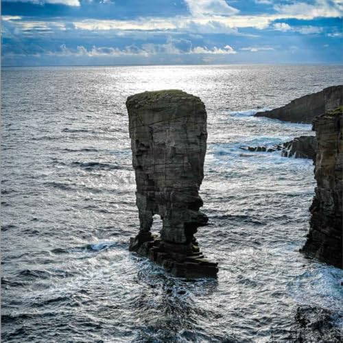 Seabird spectacular on Orkney