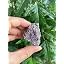 Lepidolite