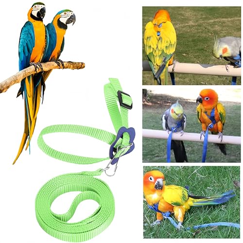 Verstellbares Geschirr für Papageien, 2 Stück, Geschirr für Vögel, Outdoor Carrying Flight Rope Tether Vogel Harness, für Sittich, Cockatiel, Alexandrin, Scharlachrot