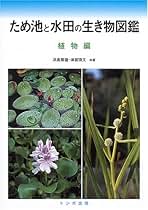 トンボ出版 国産腕時計 ④ シチズン ホーマー 1999年 岡田 和夫 初版本 国産腕時計 4 シチズン ホーマー 岡田 和夫 1999 雑誌