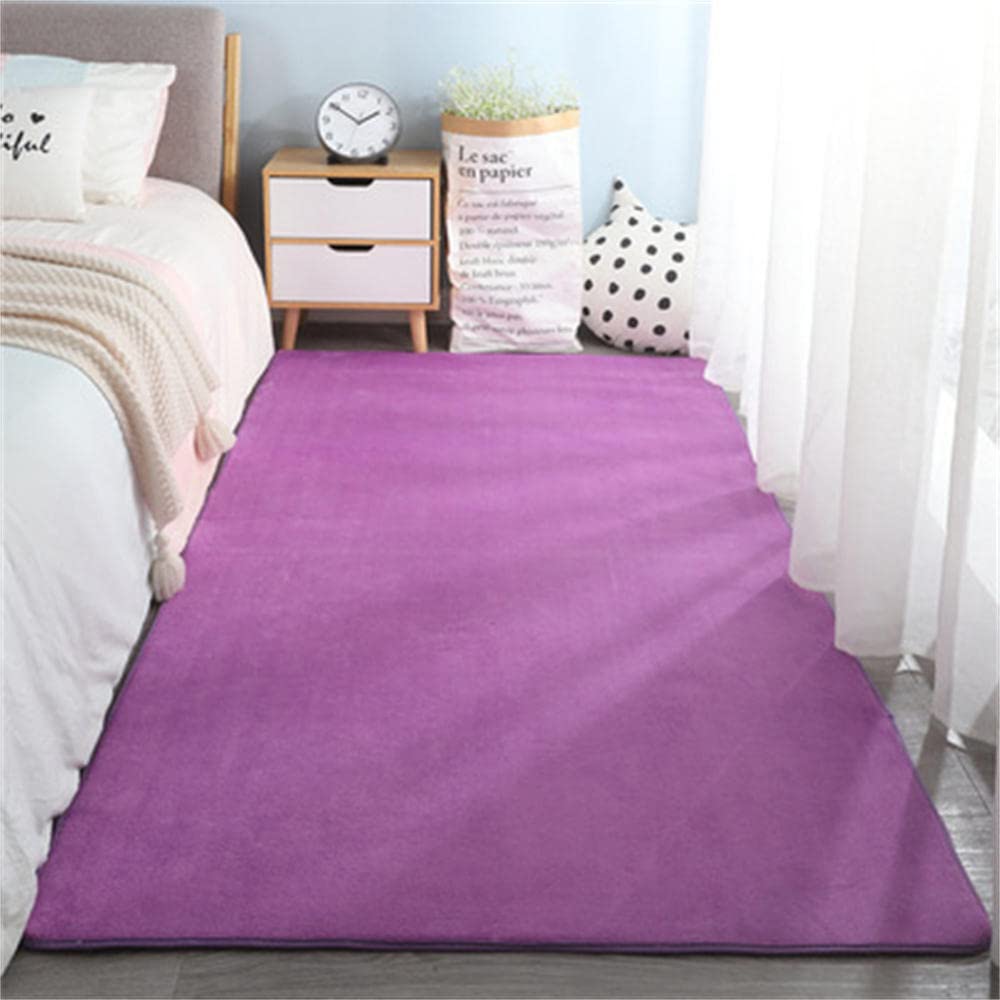 Tapis shaggy salon violet moderne en velours doux pour décoration intérieure de chambre