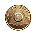 1 Month Bronze AA (Alcoholics Anonymous) - Sober / Sobriety / Birthday / Anniversary / Recovery / Medallion / Coin / Chip
