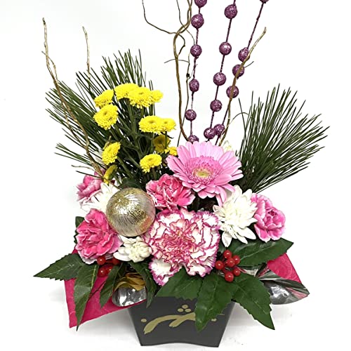 AW }tMtgyNICHIFLROz  蕨 NNnMtgt[AW  AWg (sNn܂)