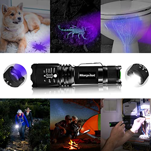 Morpilot Blacklight Flashlights, 2 In 1 Led Uv Blacklight With 500Lm Highlight, 4 Modes, 395Nm Black Light Flashlight For Pet Urine/Scorpion Detection/Night Fishing/Travel/Camping, 2Pcs #TOP3