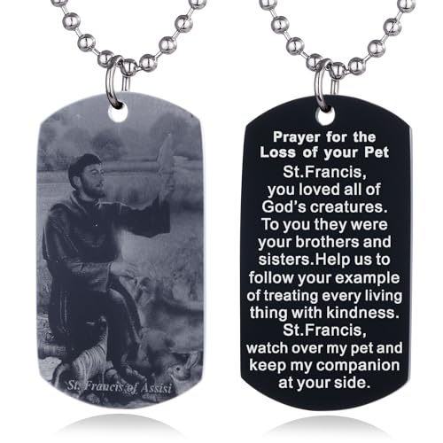 FAYERXL Scripture Baptism Holy Bible Verse Dog Tag Necklace,Engraved Catholic Christian Communion Confirmation Rite Religious Gift (Prayer for the Loss of your pet)