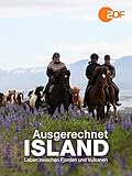 islandpferde kaufen schweiz  Ausgerechnet Island - Leben zwischen Fjorden und Vulkanen