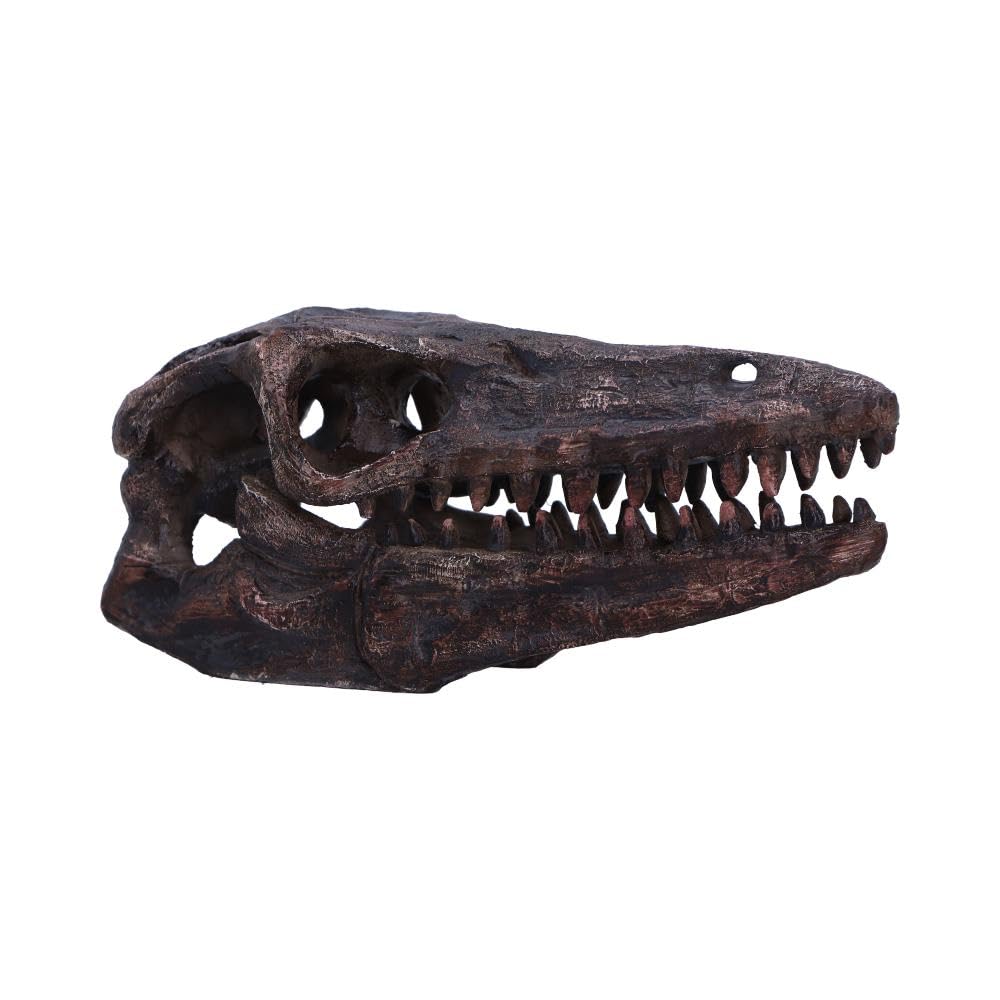 Nemesis Now Archaeopteryx Skull 18cm