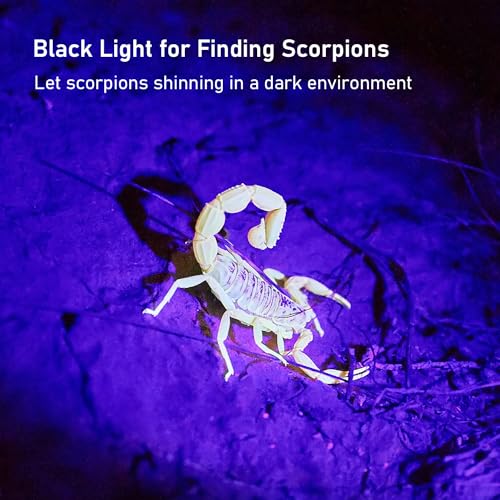 Glossday UV-100LED-FBA Flashlight Black Light, 100 Led Black Light Flashlight For Dog/Cat Pet Detector thumb #3