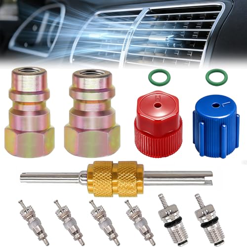 Taiss 11PCS R12 to R134A Conversion Kit R12 R22 to R134A High/Low Fittings Port with 1/4to 7/16-20 UNF Connection AC Retrofit Fitting Adapter Kit for AC Air Conditioner Refrigerant System