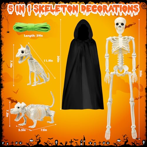 Askill 36" Skeleton Halloween Decorations, 3FT Posable Skeleton with Dog & Cat Skeleton - 5 in 1 Creepy Plastic Movable Joint Skeleton for Halloween Party Yard Decor (36inch)2