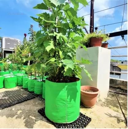 Image of Grow Bags 15 x 15 inch, Terrace Gardening, Vegetable, Fruits Planting Bags (7)