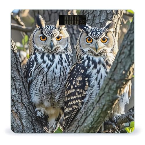 Báscula Digital de Baño Wild Owl Birds con Plataforma Ultra Ancha miniatura 1