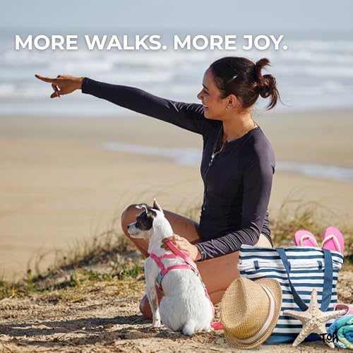 Conjunto Peitoral H E Guia PP Azul