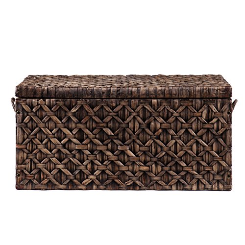 Southern Enterprises Storage Trunk, Blackwashed #TOP2