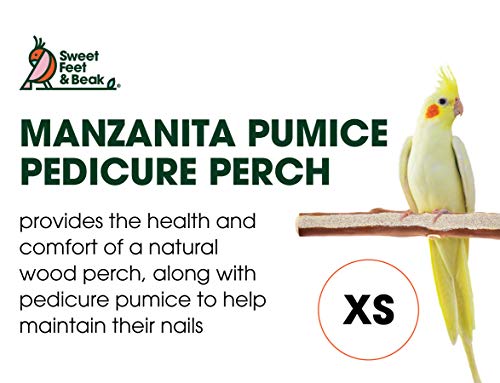Sweet Feet and Beak Superoost Manzanita Pumice Pedicure Perch - Patented Bird Perch Keeps Nails and Beak in Top Condition - Imitates Birds' Life in The Wild - Non-Toxic, Easy Installation - X-Small