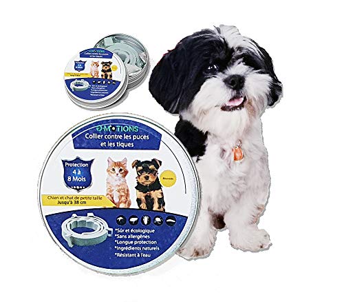 PARENCE - Collier Naturel Antipuces Anti-Tiques - Chiens/Chats, Résistant à l’Eau, Ajustable et Naturel - Efficace Puces,Tiques. Jusqu'à 8 Mois de Protection - Antiparasitaire (S : jusqu'à 38 CM)