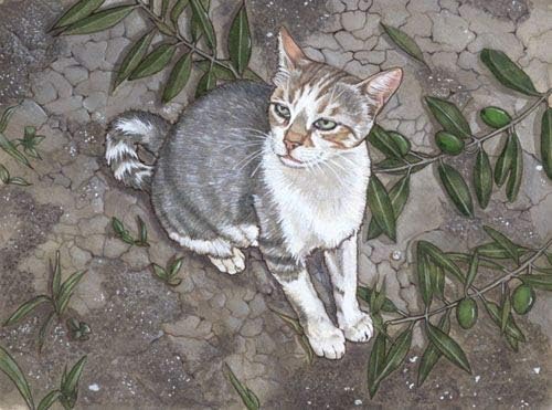 Cat Tabby Blank Note Cards Boxed