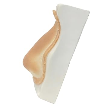 [Ymwemv] Silicone Nose Prosthetic Kit for Cosplay Halloween