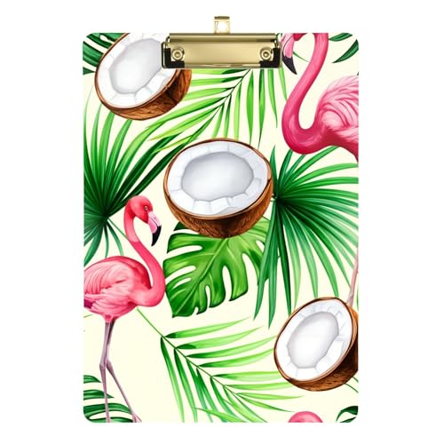 Nbv{[h gsJ sN t~S V̖ AN t 12C` x 9C` JX^Nbv{[h fB[X LbY Nbv{[h Jt ItBX ŌwZ S[h