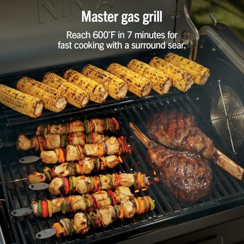 Ninja FlexFlame Grill & Smoker, Electric & Propane, 5-in-1, Black,PG301BK - image 7