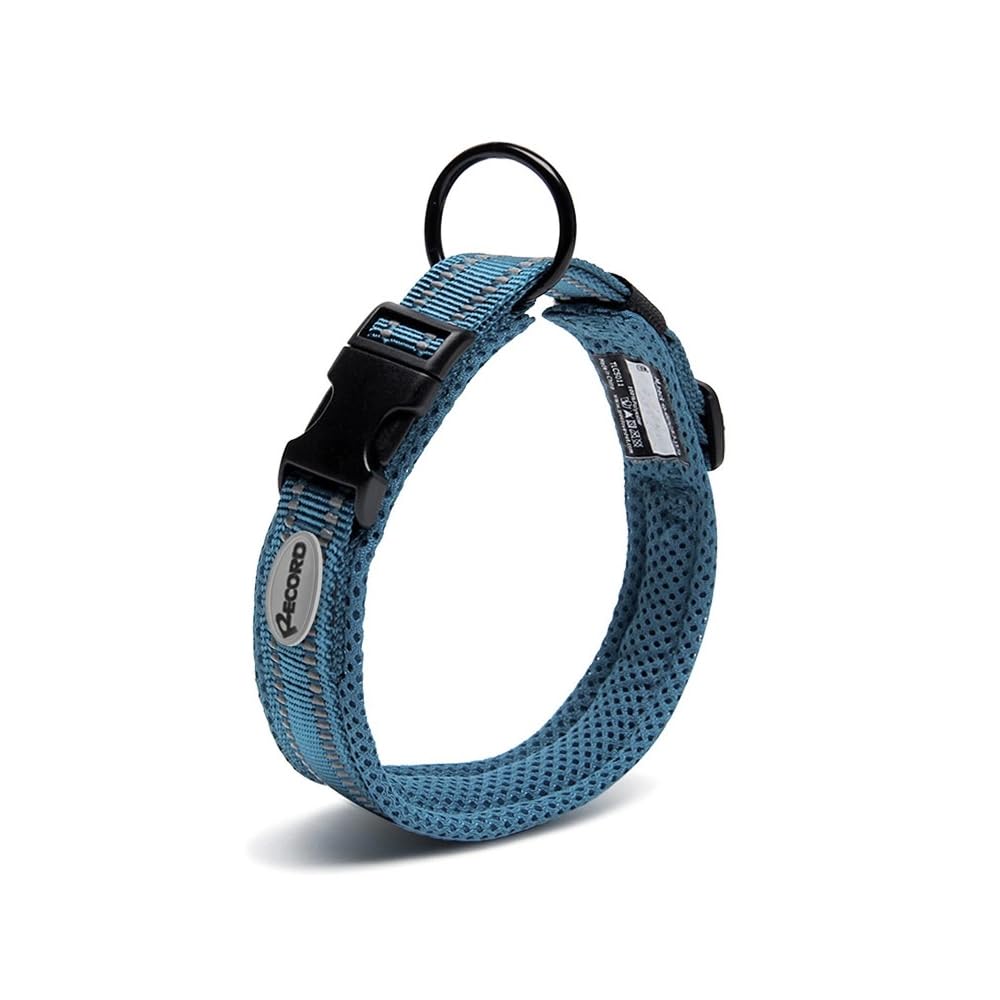 Record, Ande Dog Collar, Made of Durable Nylon, Reflective Details, Plastic Closure Clip, Blue Color, Size XXL, 2.5cm