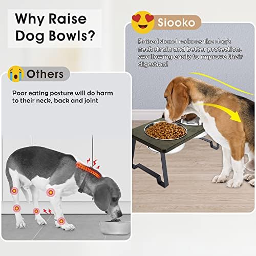 Should I Elevate My Dogs Food Bowl