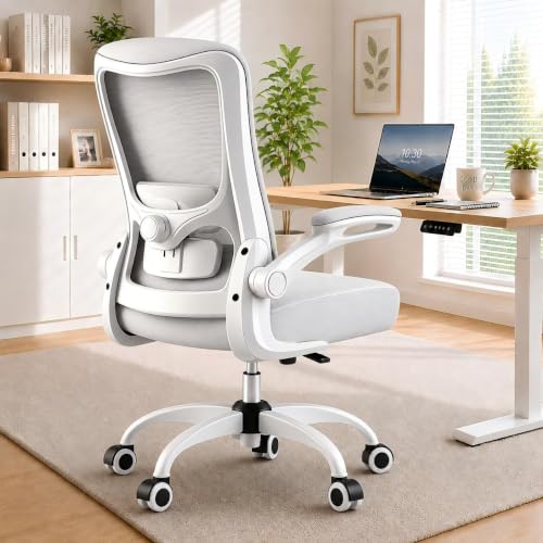 Zeonsit Ergonomic Office Chair