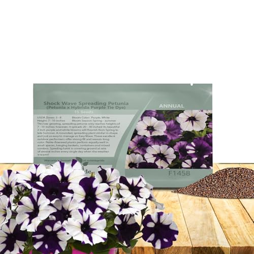 Outsidepride Purple Tie Dye Shock Wave Petunia Seeds - 15 Pcs. Annual, Compact & Spreading Flower Seeds for Planting Low Growing Vibrant Blooms, Garden Beds, Hanging Baskets & Container Displays