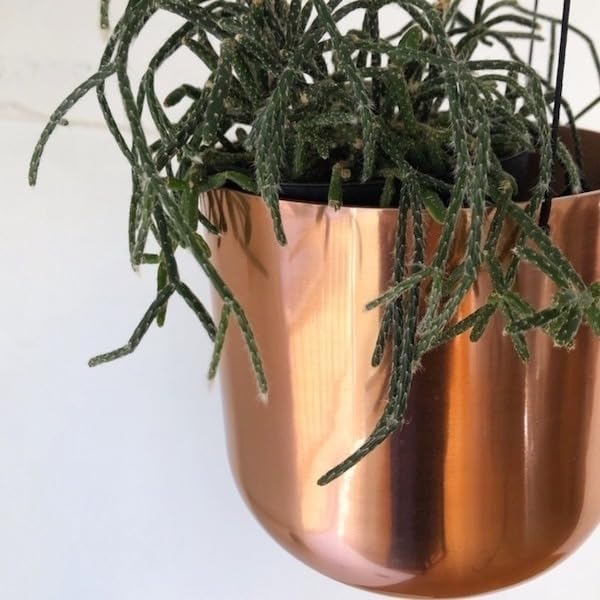 Amazon.co.jp: Raakel Hanging pot Copper φ14cm×H14cm