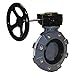 Hayward BYV44100A0NGI00 Series BYV Butterfly Valve, Lugged, Gear Operated, GFPP Body, GFPP Disc, Nitrile Seals, 10" Size
