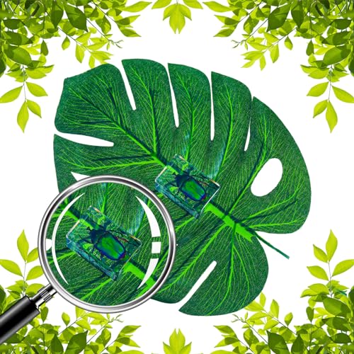 Beeveer GRE-BEEVEER-272 9 Pcs Insect In Resin Specimen Bugs Collection Paperweights Arachnid Butterfly Bug Toys Different Real Bugs In Resin Educational Science Classroom Specimens Display Supplies thumb #2