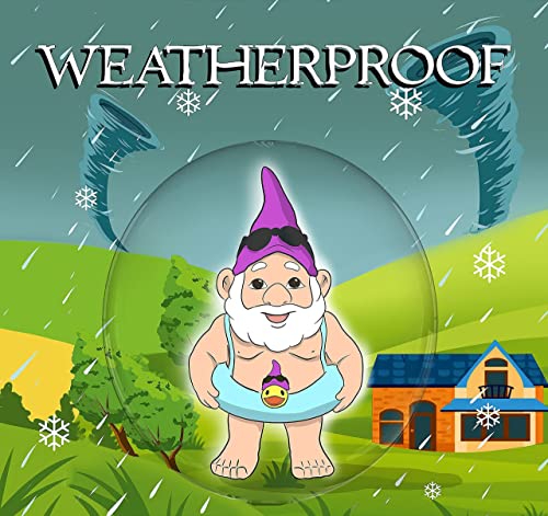 Garden Gnomes Galore Pool Gnomes - Pool Decorations Outdoor Pool Decor - Garden Gnomes Outdoor Funny Garden Gnomes - Gnomes Decorations For Yard Gnome - Poolside Decor Pool Area Decorations Outdoor #TOP5