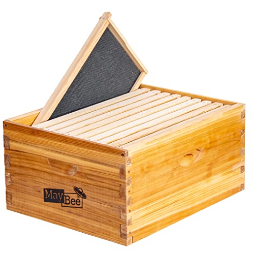 10-Frame Beehive Box Langstroth Deep Brood Box Dipped in 100% Beeswax Includes Wooden Frames & Waxed Foundations (Unassembled)