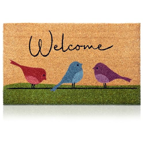 Colorful Birds - 29