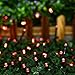 Qedertek Solar String Light, 39ft 100 LED 8 Modes Light Sensor Control Waterproof Decorative Ambiance Light for Patio, Lawn, Garden, Fence, Balcony, Party, Holiday, Christmas Decorations(Red)