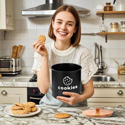 Tarro de galletas de diseño exclusivo con tapa de aislamiento cerámico hermético 6
