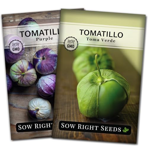 Sow Right Seeds - Tomatillo Seeds Garden Collection for Planting - Non-GMO Heirloom Packet with Instructions to Plant a Home Vegetable Garden - Toma Verde and Purple - Mexican Husk Tomato for Salsa